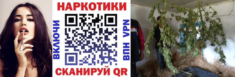 Как найти наркотики Курганинск COCAIN  A-PVP  Бошки Шишки  ГАШ 