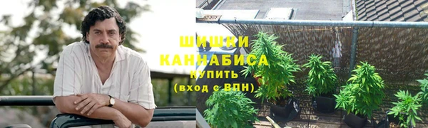 мяу мяу кристалл Алексин