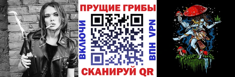 Галлюциногенные грибы ЛСД  где купить наркотик  Курганинск 
