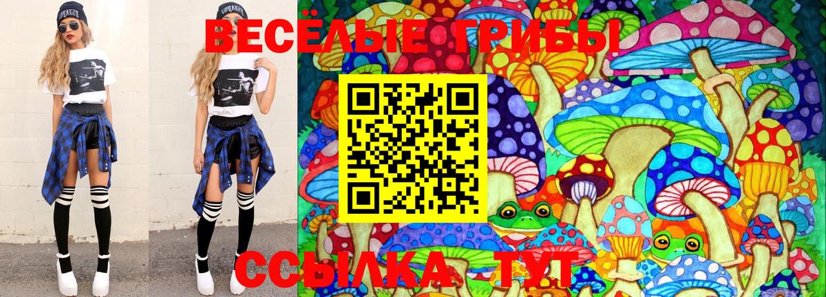 Курганинск  Псилоцибиновые грибы Magic Shrooms  закладка  Вход с VPN 