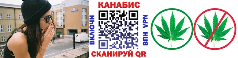 Канабис OG Kush  Курганинск 